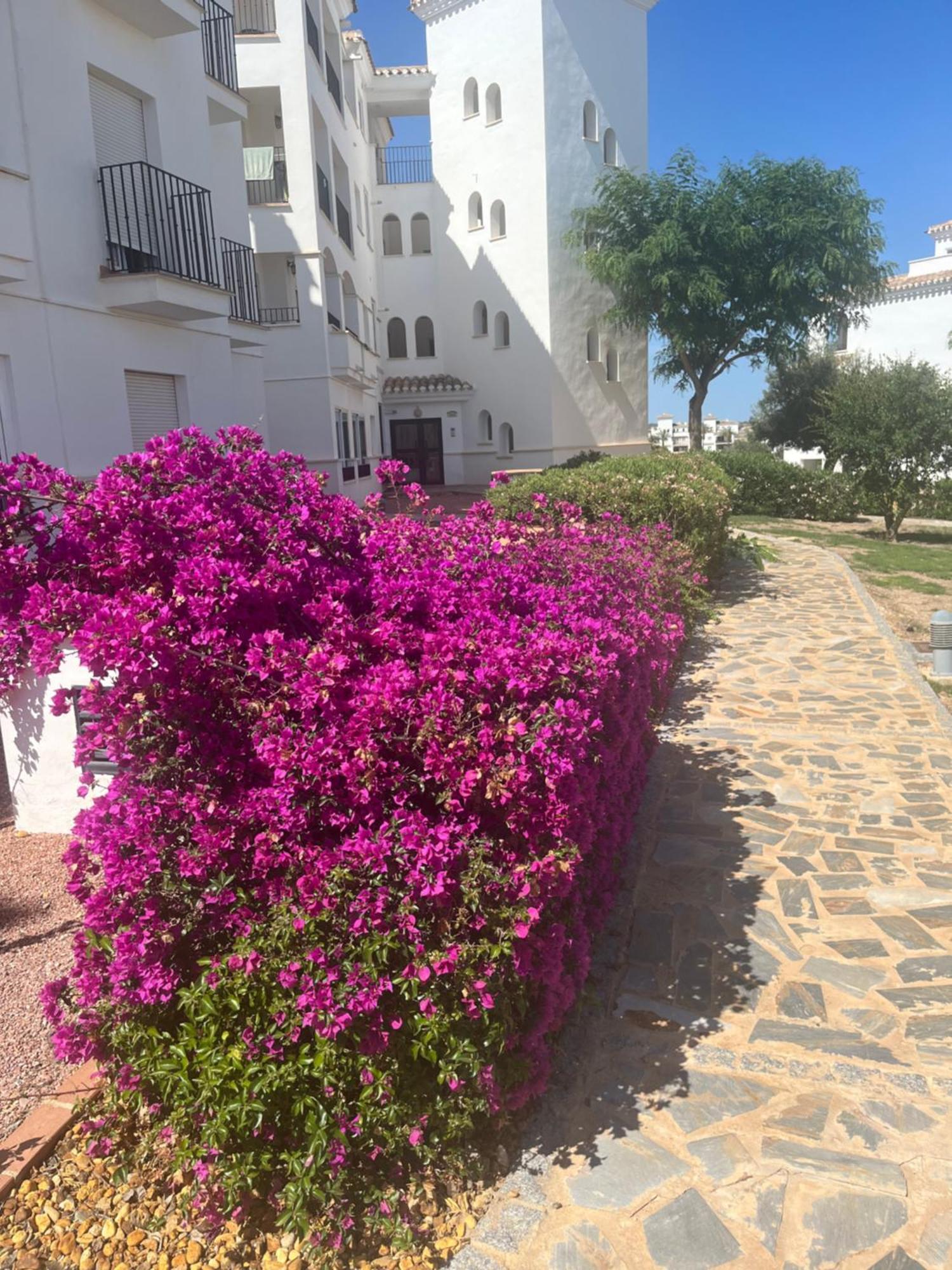 La Casa Rosita, Hacienda Riquelme Golf Resort Sucina Мурсія Екстер'єр фото